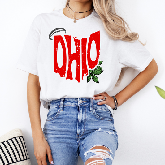 Ohio Distressed Graphic Tee